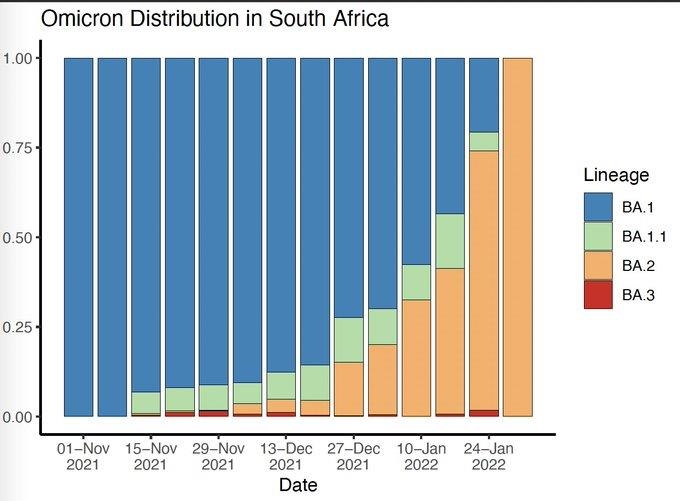 오미크론 하위변이 BA.2 남아공서 100% 지배종