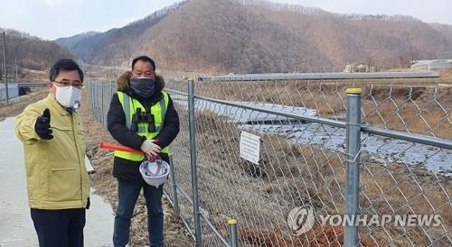 상주서 또 아프리카돼지열병 감염 멧돼지…경북 20마리째