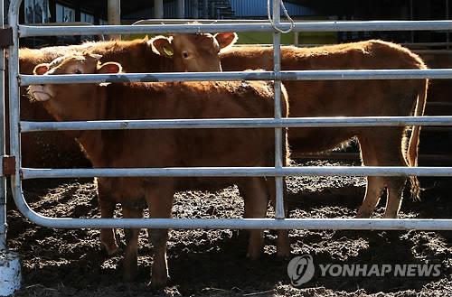 강원도, 가축·사람 공통 감염병 근절 총력 지원