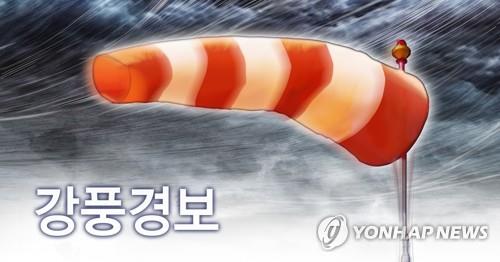 전남 흑산도·홍도에 강풍경보…전남 서해 먼바다 등 풍랑경보