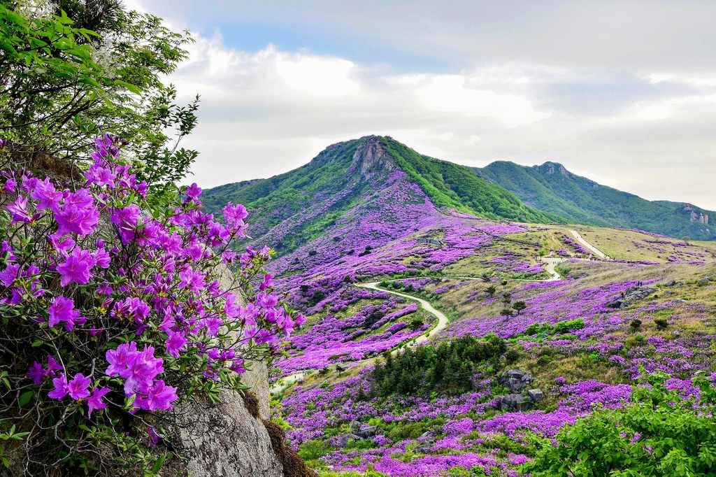 '작은 금강산' 산청 황매산, 자연휴양림으로 조성