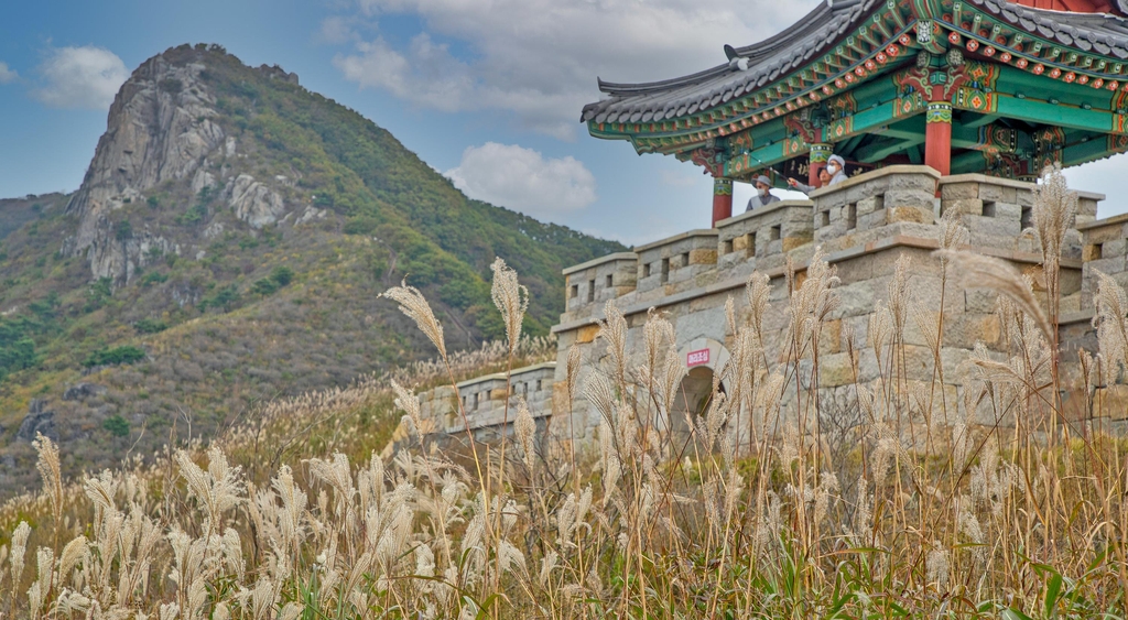 '작은 금강산' 산청 황매산, 자연휴양림으로 조성