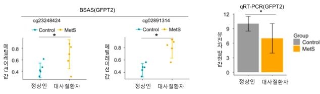 한의학연, 대사증후군 예측력 향상 바이오마커 발굴