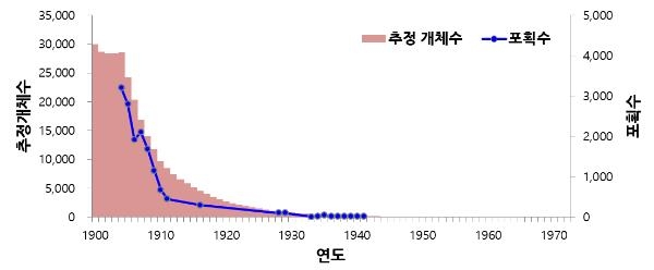 독도 옛주인 강치 멸종원인은 남획…첫 과학적 입증