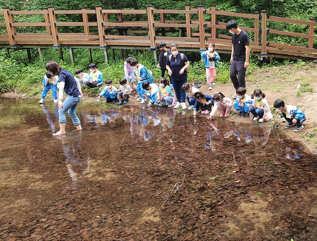 "개구리 보러 갈까"…횡성숲체원, 꿈드림 숲드림 캠프 운영