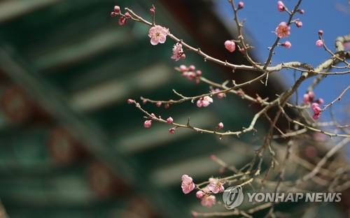 전북 건조하고 포근…산불 주의