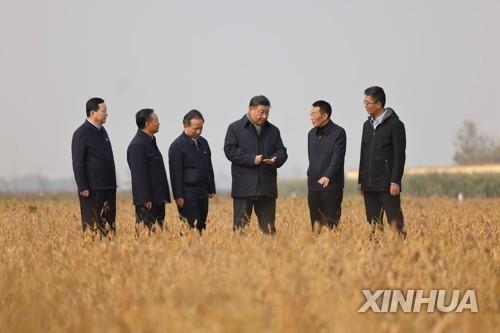 중국 콩 산지 헤이룽장 올해 130만t 증산 계획