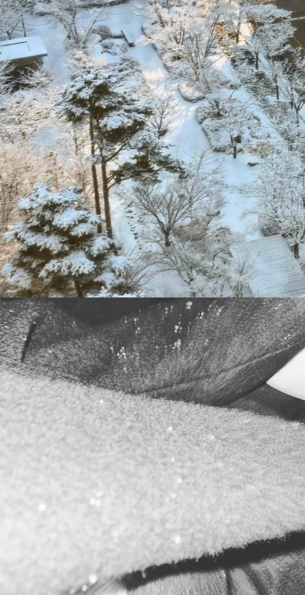 방탄소년단 뷔, 인스타그램 "남친짤+ 연탄이" 세상 가장 사랑스러운 조합