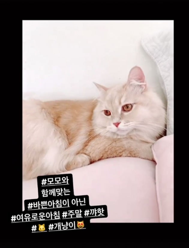 사진=김은영 인스타그램