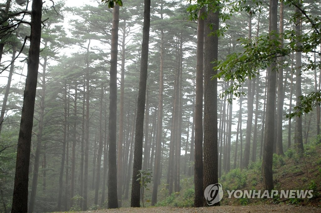 "대관령 청정자연 즐겨요" 강릉시, 산림관광 안내센터 준공