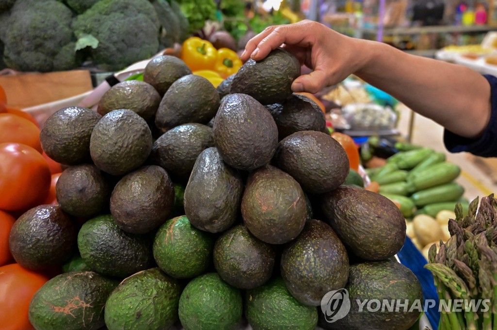 미·멕시코 '아보카도 분쟁'에 미국선 벌써 품귀현상