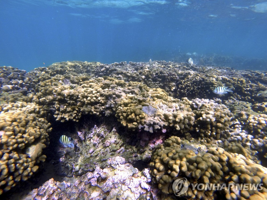 "해양 온난화, 2014년 '돌이킬 수 없는 선' 지났다"