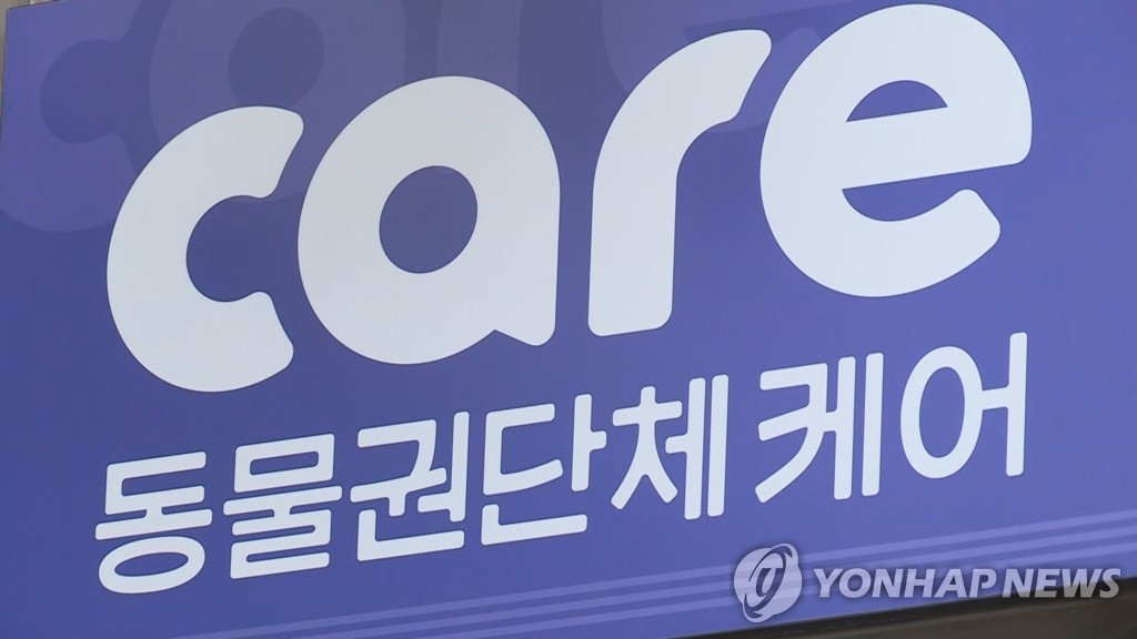 또 햄스터 학대 사진…동물단체, 디씨 갤러리 폐쇄 촉구