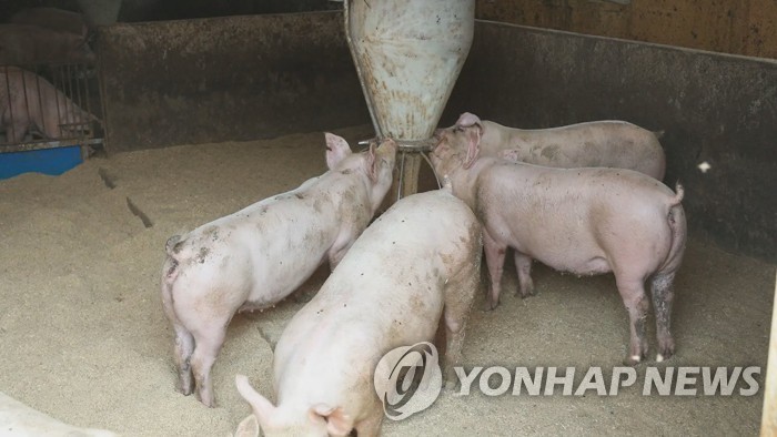 2030년까지 축산 온실가스 30% 줄인다…'생산성→친환경' 전환