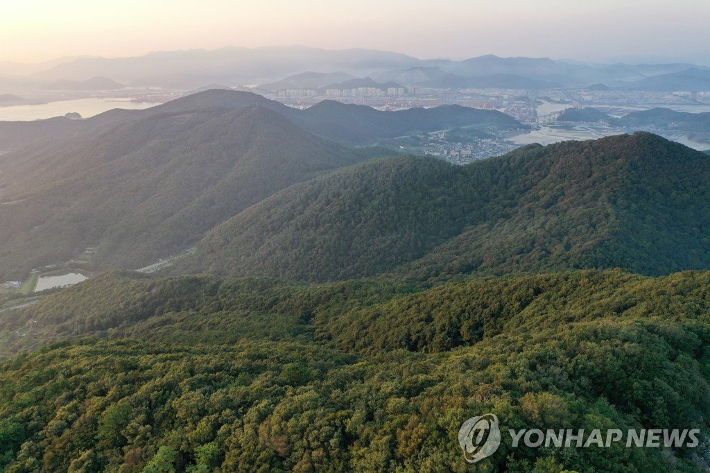 신공항 예정지 부산 가덕도 개발행위 허가 제한