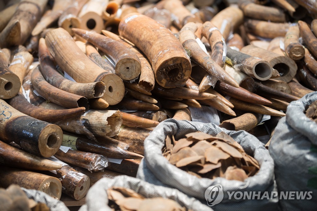 "한국-중국 운송로, 야생동물 밀수 고위험 구역"