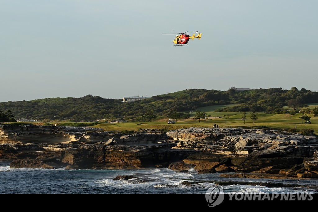 3ｍ 백상아리가 사람을 물어 죽였다…시드니 인근 해변 줄폐쇄