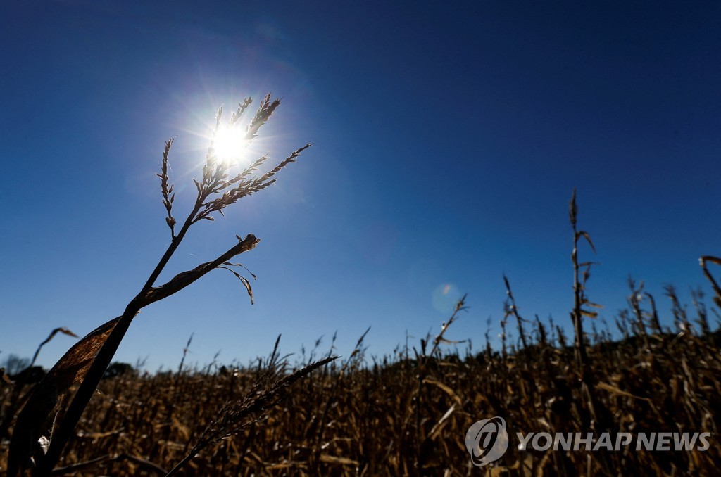 세계 식료품 가격 11년만에 최고치…이상기후·유가 상승 영향(종합)