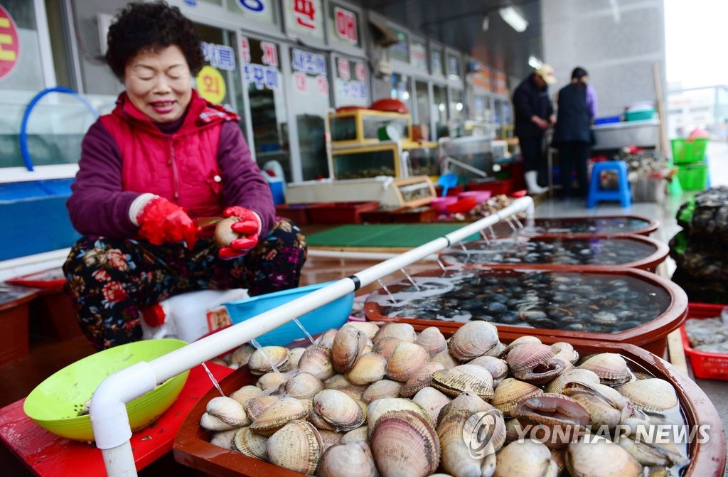 천수만에 새조개가 돌아왔다…올해 75t 생산 전망