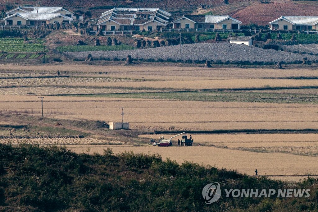 작년 북한 벼 재배면적, 0.6% 증가…한국의 74.3% 수준