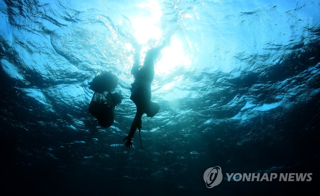 제주 해녀 조업 중 안전사고 3년간 53건…주의보 발령