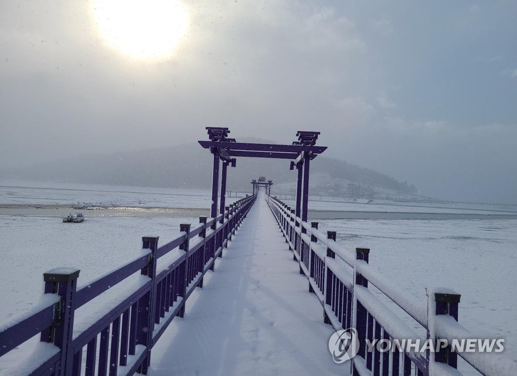 신안 퍼플섬, 파리 패션위크 패션쇼 영상촬영지로 떠올라