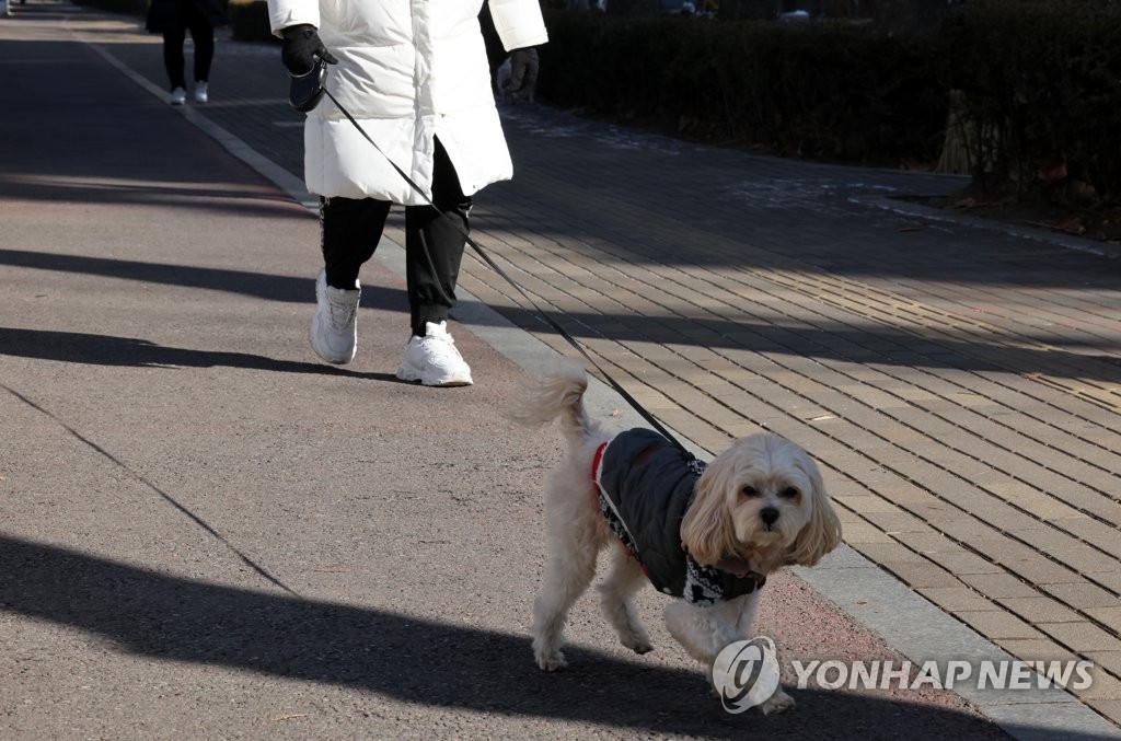 외출시 반려견 목줄 2ｍ 이내로 유지해야…보호자 의무 강화