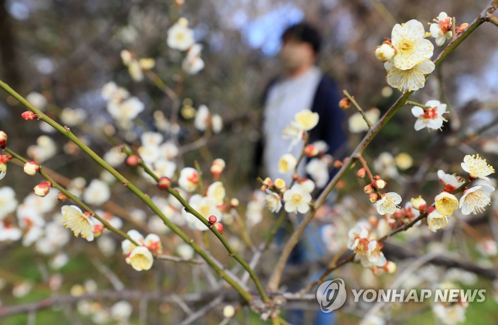 확진자 폭증에 전국 도심 한산…일부 관광지에는 인파