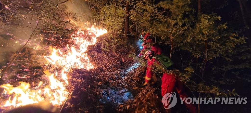 지난달 강수량 50년만에 최저…눈 자주 왔는데 양이 적었다