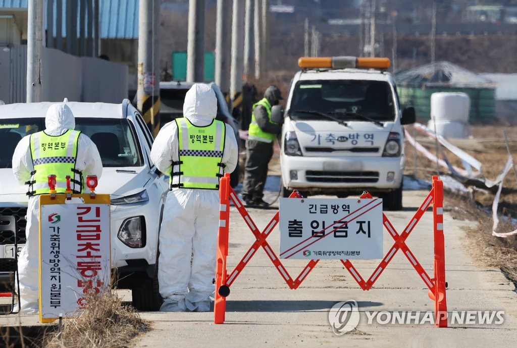 평택 산란계·정읍 육계 농장서 고병원성 AI 확진