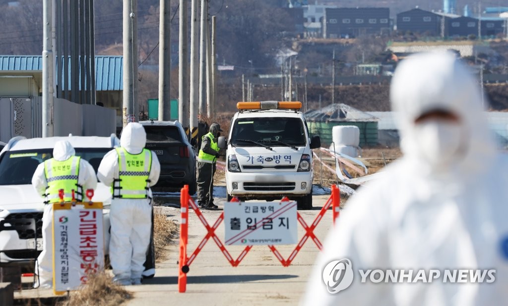 충남 아산 산란계 농장서 고병원성 AI 확인…가금농장 40번째