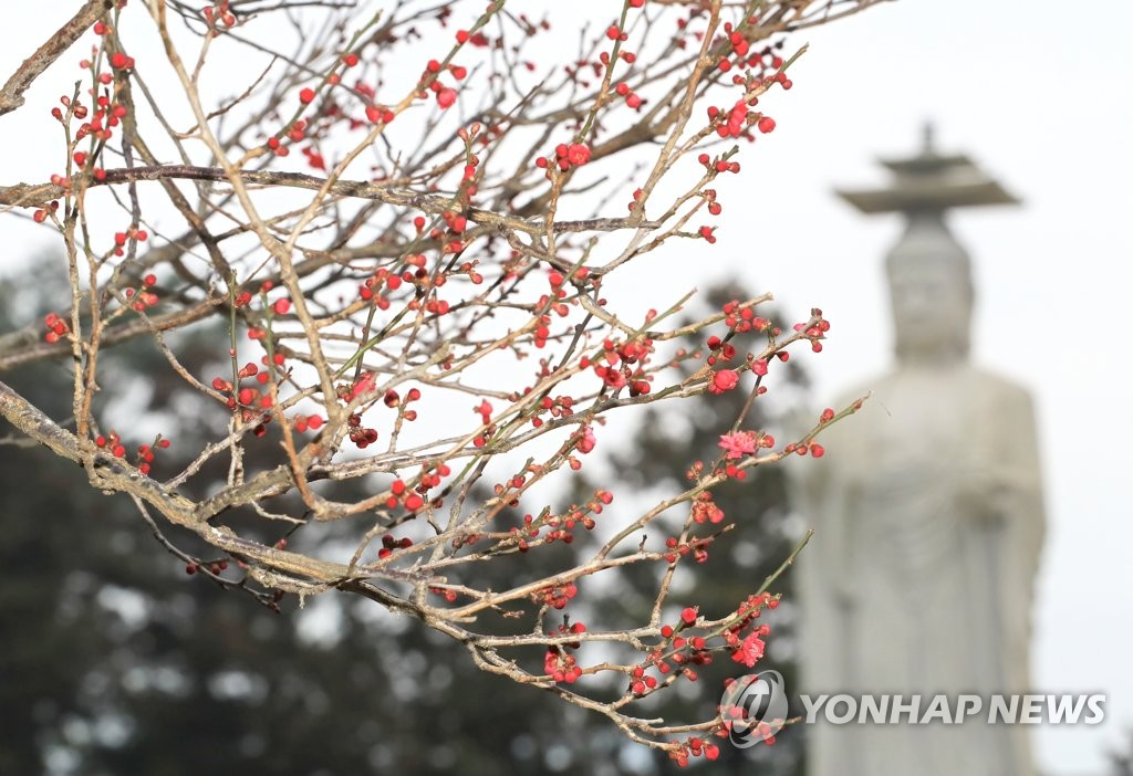 제주 흐리고 낮까지 가끔 비…최고 12∼13도