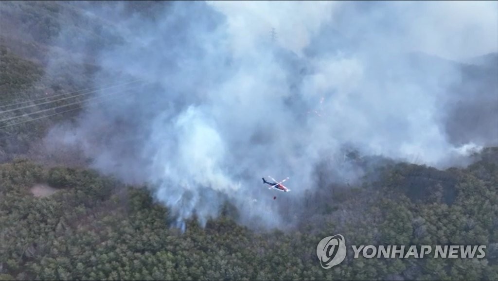 강풍 탓에 경북 영덕·성주 산불 다시 살아나