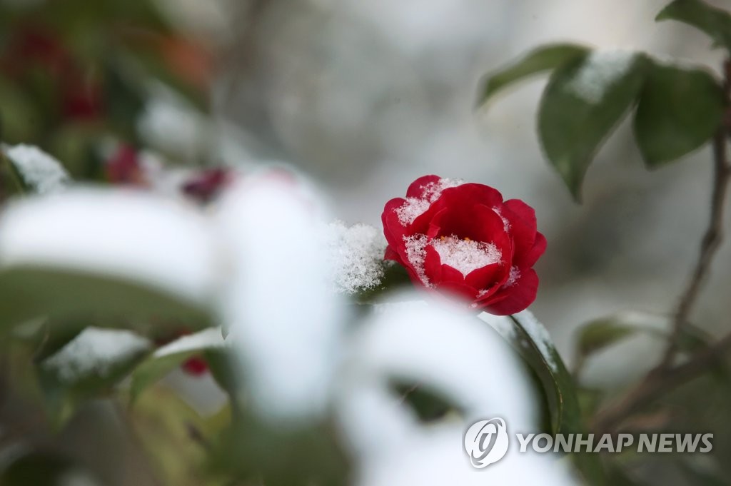 [날씨] 전국 곳곳 눈·비…수도권 오전 미세먼지 '나쁨'