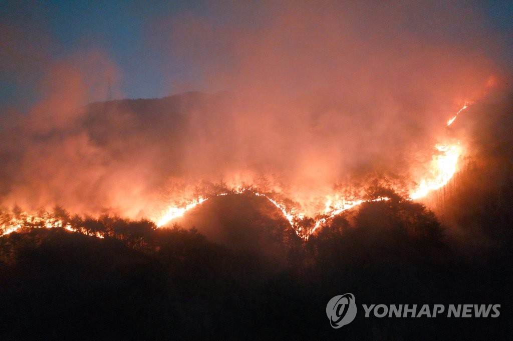 "동트는 대로"…영덕 산불 진화에 헬기 40대 투입