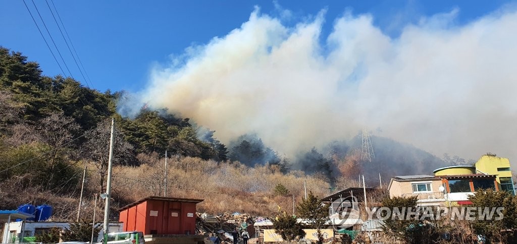 동해서 쓰레기 소각 중 산불로 번져…3시간 30분 만에 진화(종합)