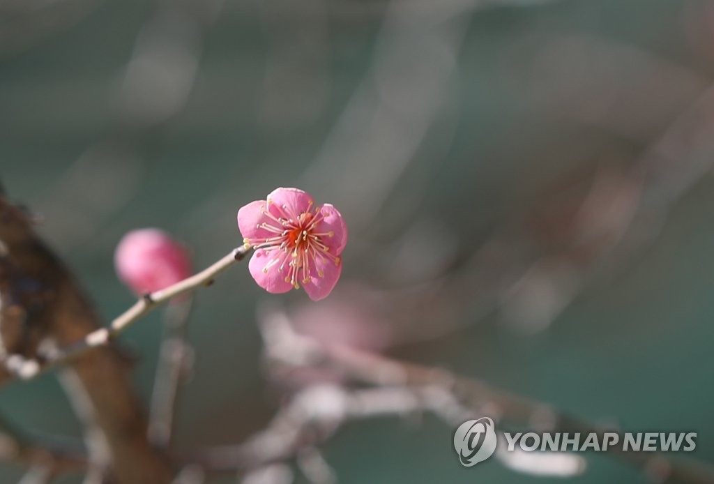 전북 구름 많고 일교차 커…낮 최고 8∼11도