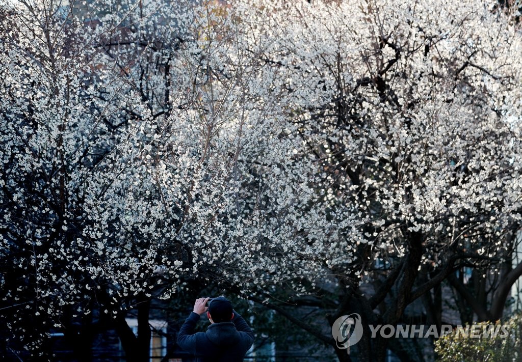 벌써 왔나 봄…전국 낮기온 10도 위로 올라