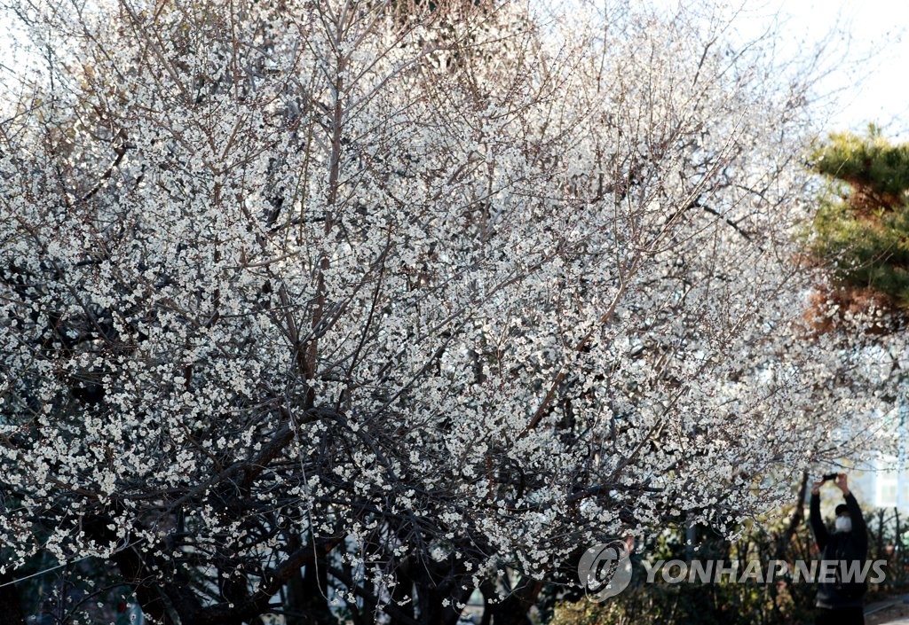 부산·울산·경남 낮 최고 16도 포근한 날씨…일교차 주의