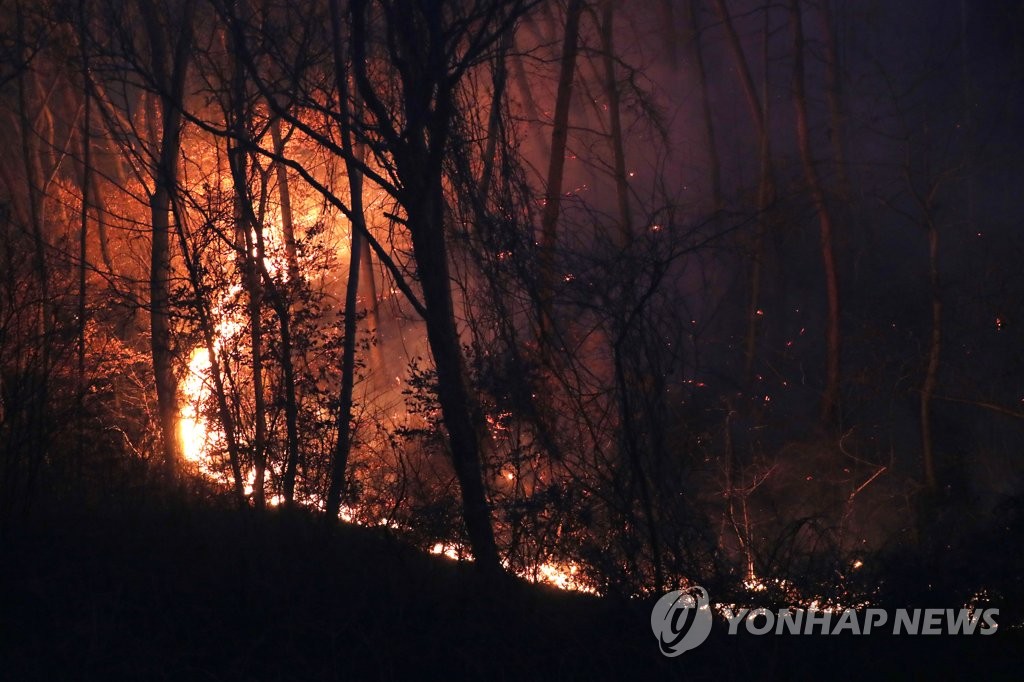 산림청장 "날 밝으면 헬기 47대 동원…정오 전 주불 진화"