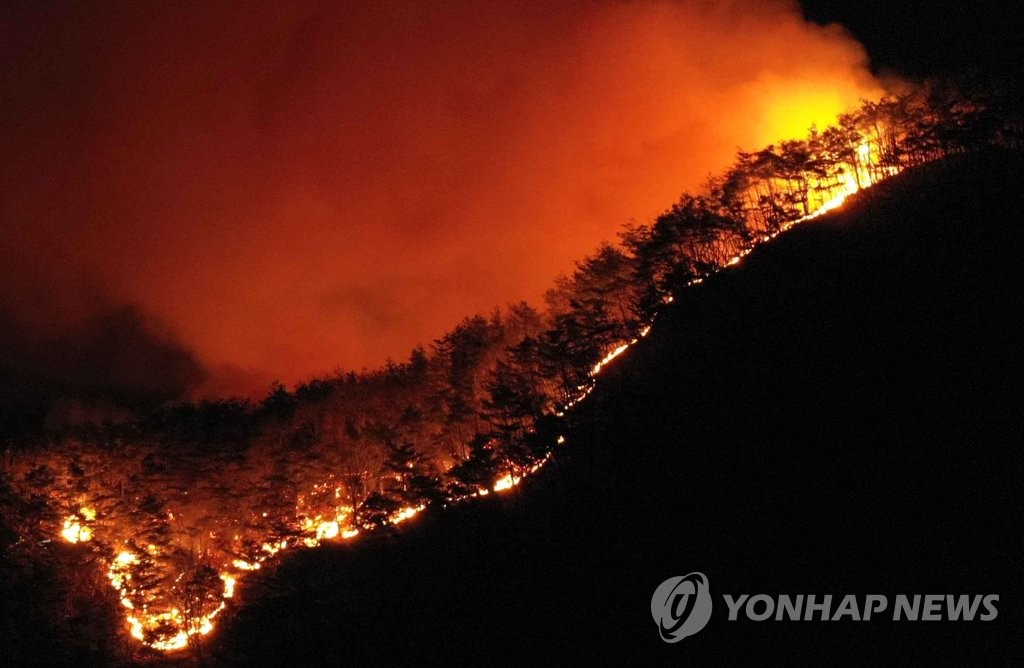 산림청장 "날 밝으면 헬기 47대 동원…정오 전 주불 진화"