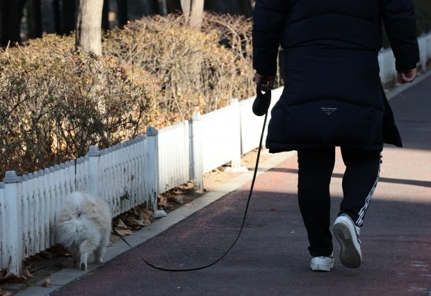 "개물림 사고 막겠다"…반려견 목줄 2m 넘으면 과태료 50만원