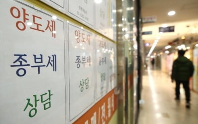 서울시 "올해 공시가격 30% 오른다…국민 보유세 부담 과도"