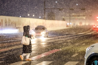 9년 만에 눈 내리는 설날…수도권 오전까지 눈 '펑펑'