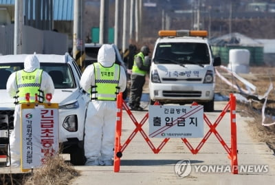 평택 산란계·정읍 육계 농장서 고병원성 AI 확진(종합)