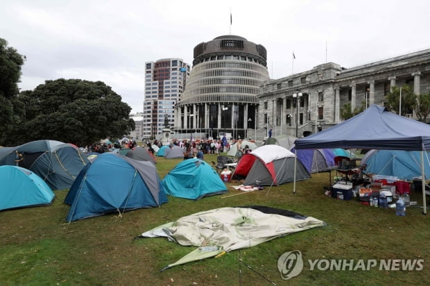 뉴질랜드 의회시위 해산하려 '아기상어' 틀었는데…다같이 율동