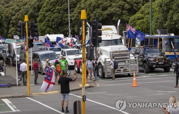 뉴질랜드 의회시위 해산하려 '아기상어' 틀었는데…다같이 율동