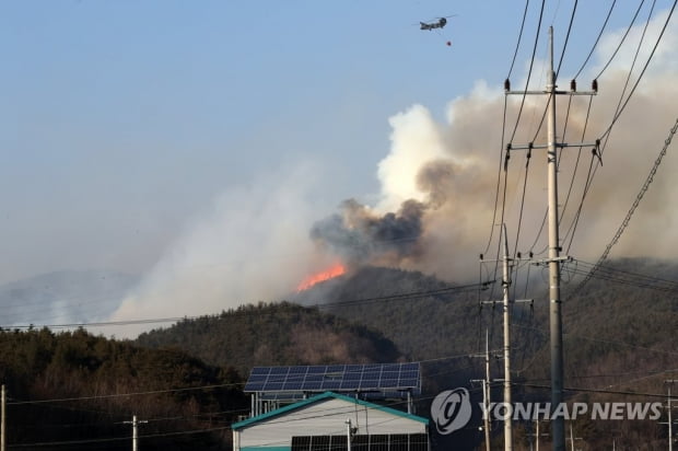 밤새 되살아난 영덕 산불 강풍 타고 확산…100㏊ 이상 피해