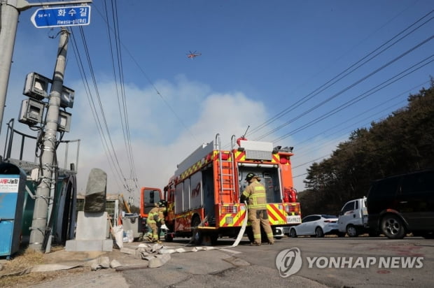 밤새 되살아난 영덕 산불 강풍 타고 확산…100㏊ 이상 피해