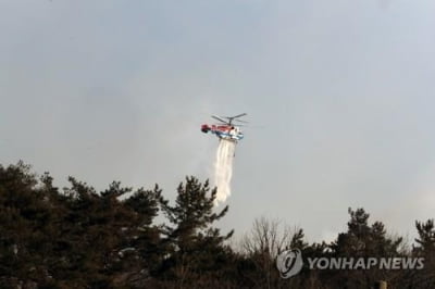 3일간 이어진 영덕 대형산불 주불 진화…축구장 560개 면적 영향(종합2보)